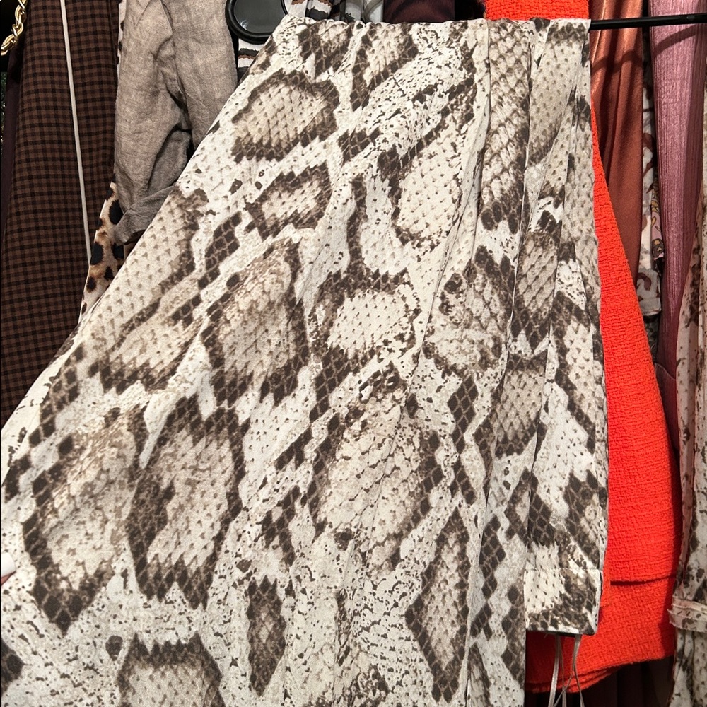 Zara Snake Pants